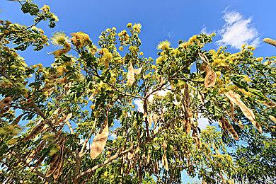 弟弟帮离世哥哥通关塞尔达传说上热搜 任天堂赠送王国之泪延续兄弟羁绊