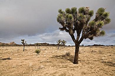 《解限机》科隆公开全新预告 Xbox 8月25日开启B测