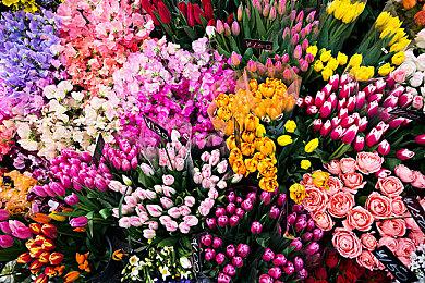 《影子武士3》PS奖杯公布 3月2日正式发售