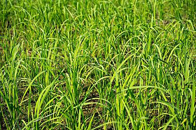 《破晓传说》Demo主机测试：PS5比XSX平均低15帧